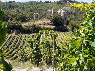 img-the-crozes-hermitage-appellation