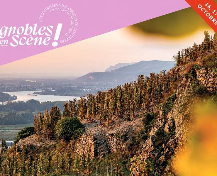 Vignobles en Scène 2026 : L’événement vin Vallée du Rhône qui casse (enfin) les codes !