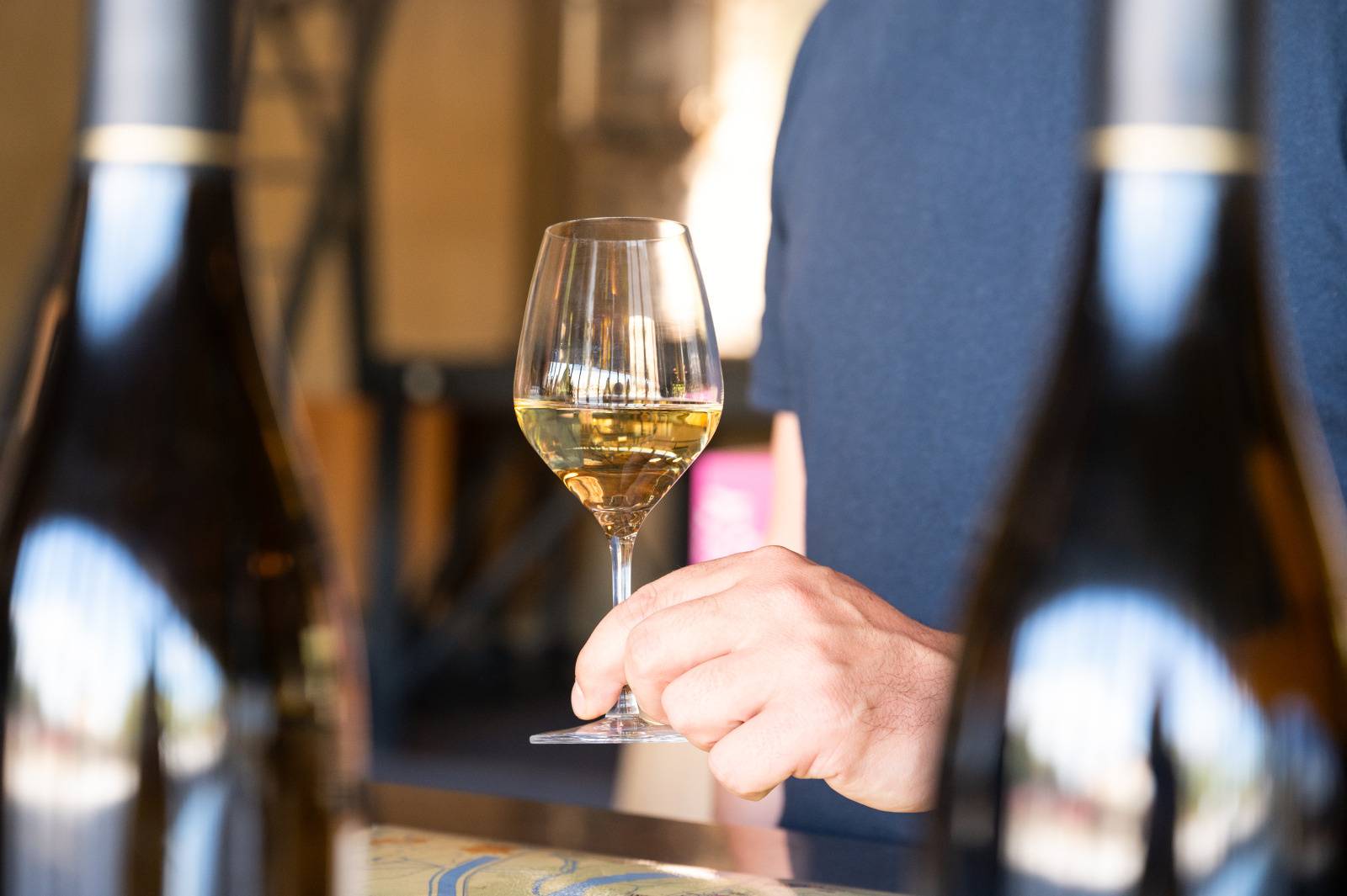 Vignoble de Condrieu