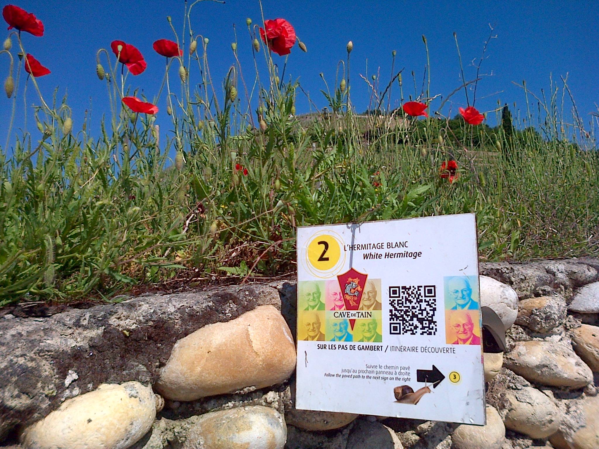 sentier des vignobles Chavanay