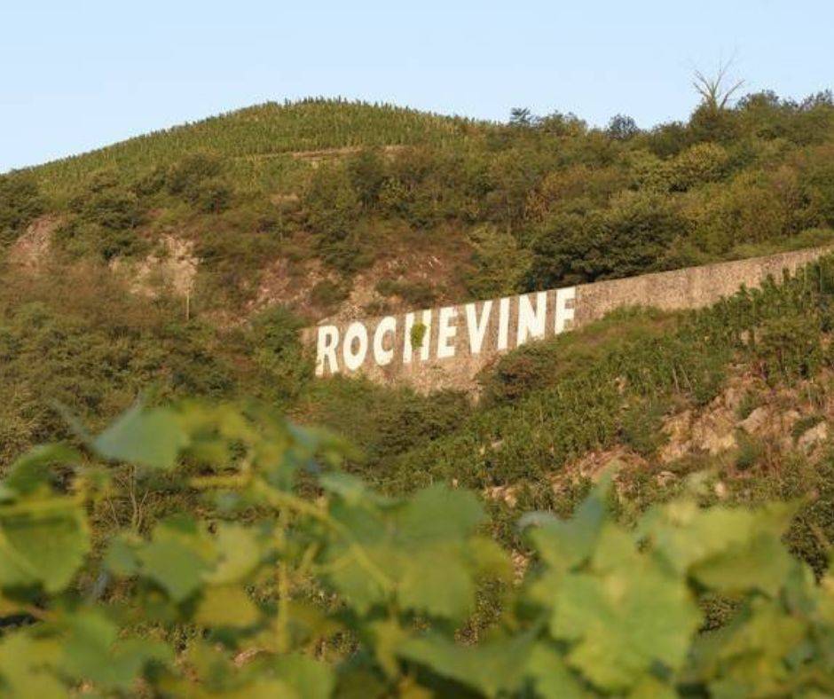 Vignoble de Condrieu