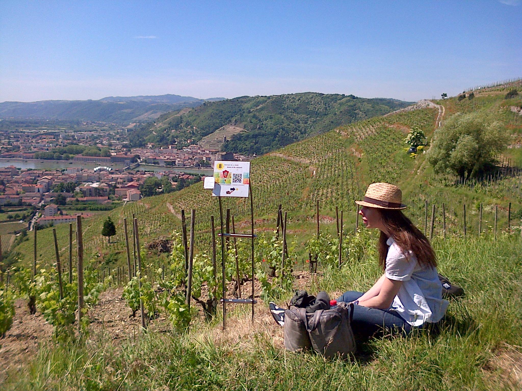 randonnées dans les vignes de l'Hermitage