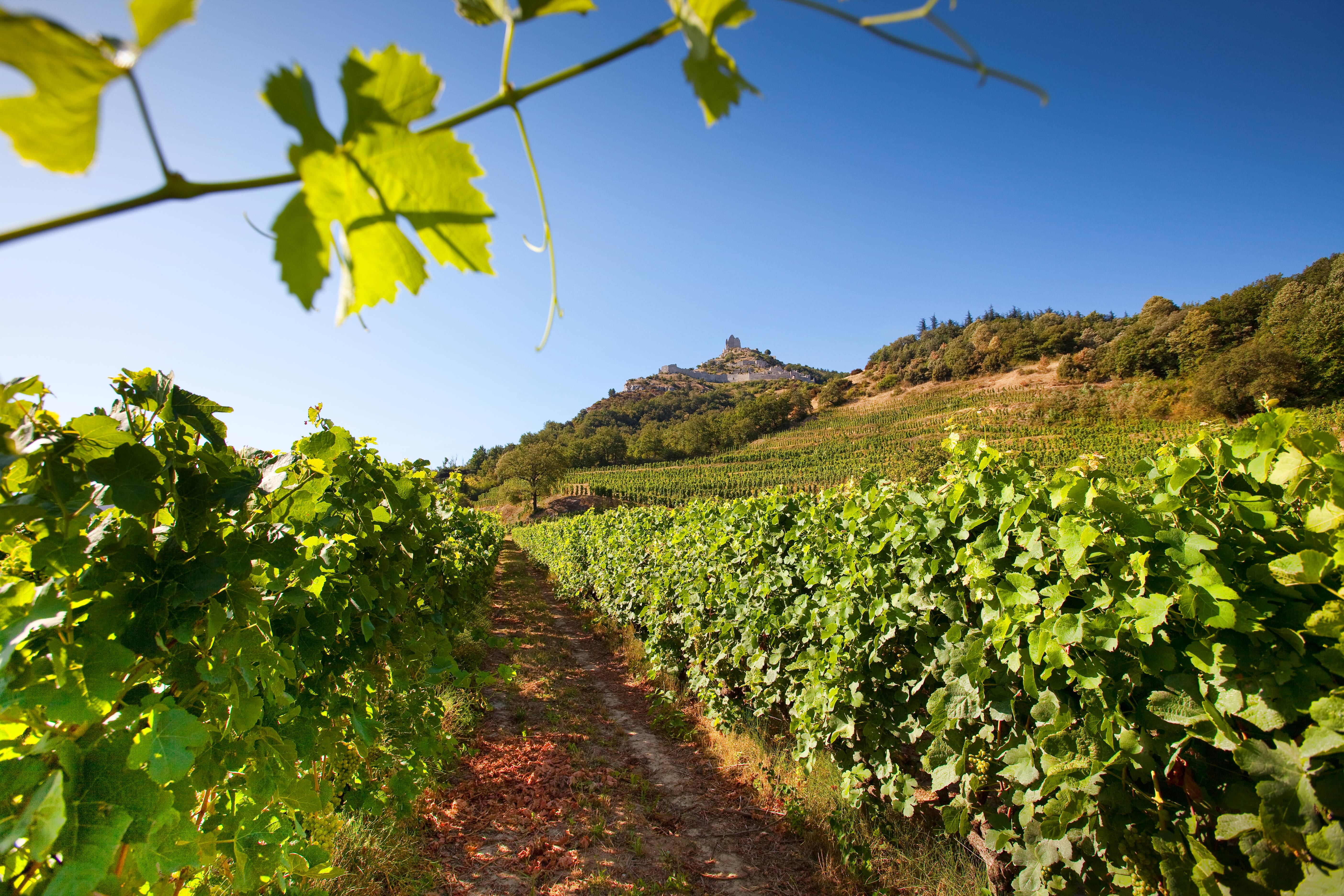 Château de Crussol Saint Péray