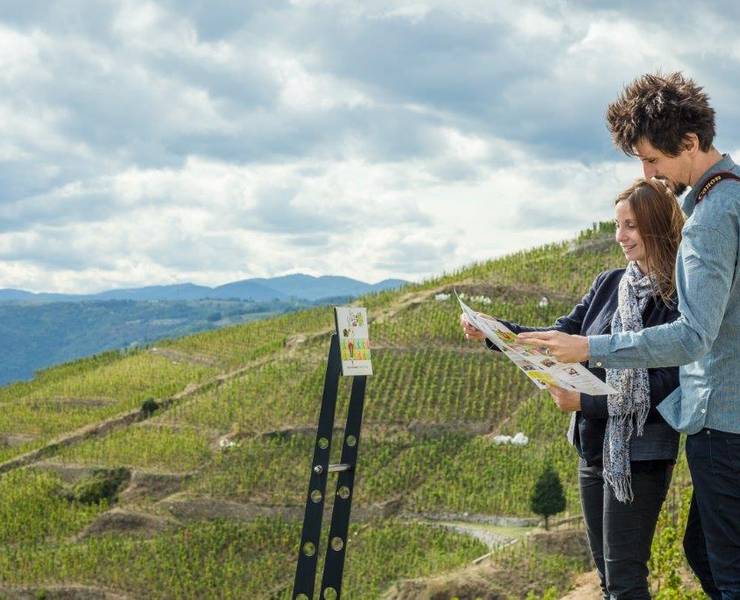 img-6-balades-incontournables-dans-les-vignobles-de-la-vallee-du-rhone-nord
