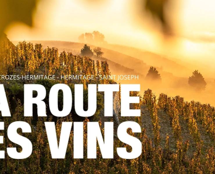 img-meet-the-winegrowers-of-the-rhone-valley-with-the-new-guide-my-wine-route
