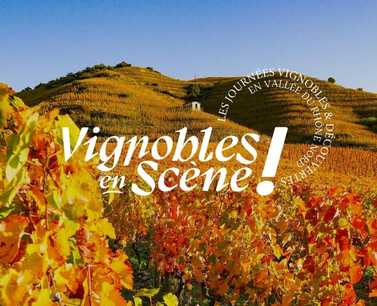 img-vignobles-en-scene-2025-trois-jours-pour-savourer-la-vallee-du-rhone-nord