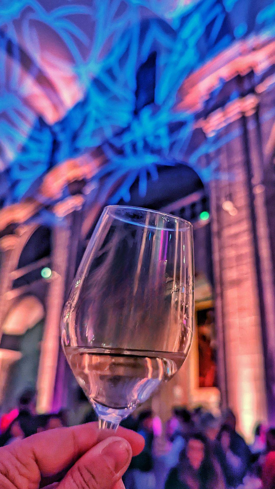 apéro vignes en vallée du Rhône nord
