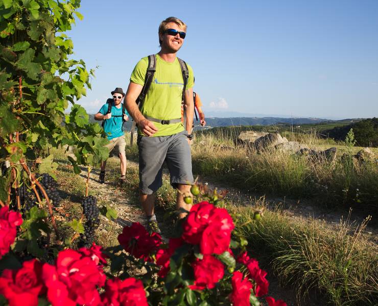 img-rando-wine-une-echappee-belle-dans-les-vignobles-de-la-vallee-du-rhone-nord