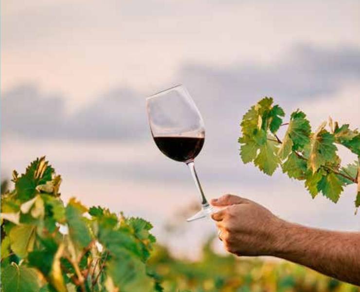 Week-end en Vallée du Rhône Nord : R-encontres, grands crus et petits bonheurs