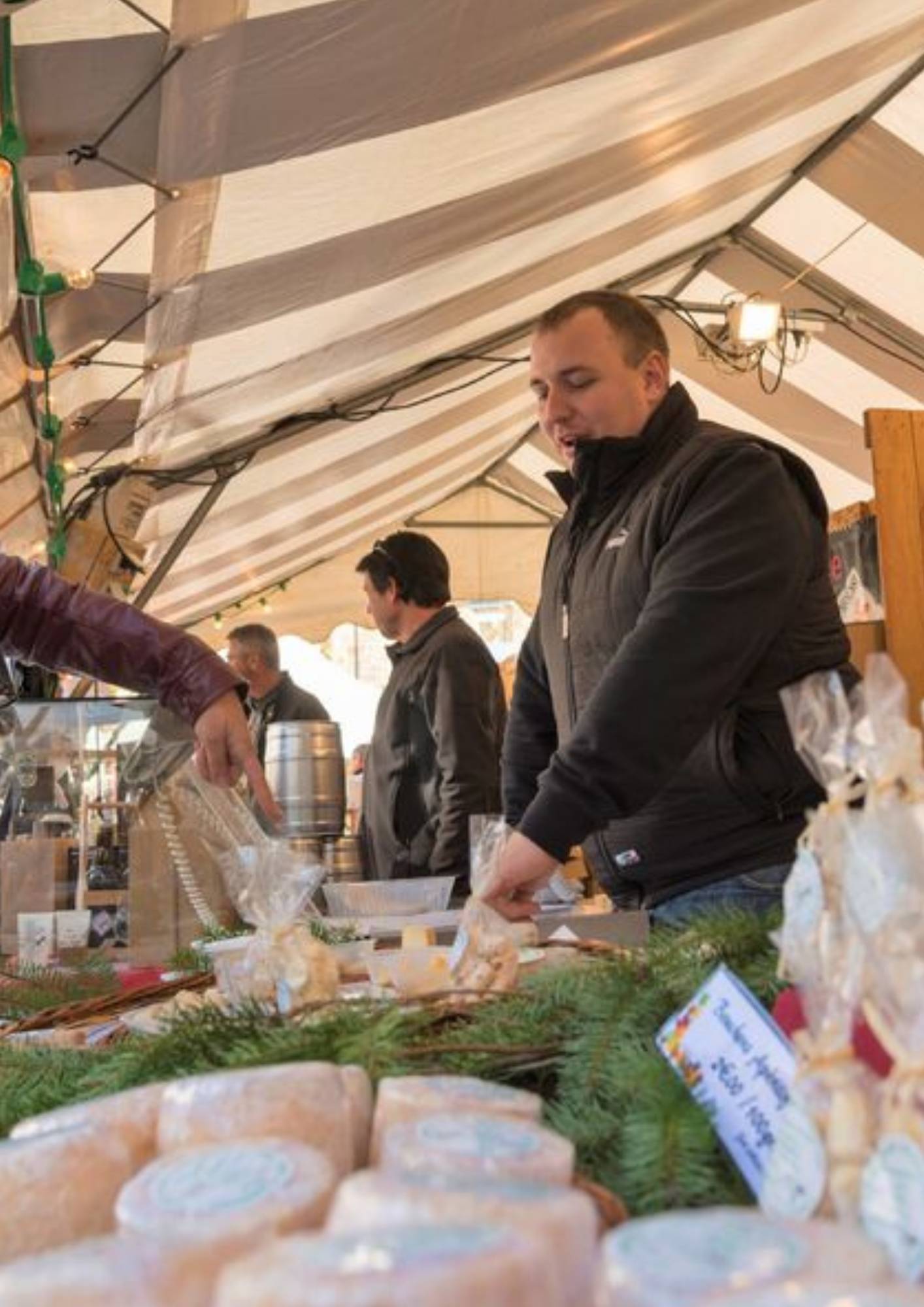 Lumières sauvages Safari parc de Peaugres