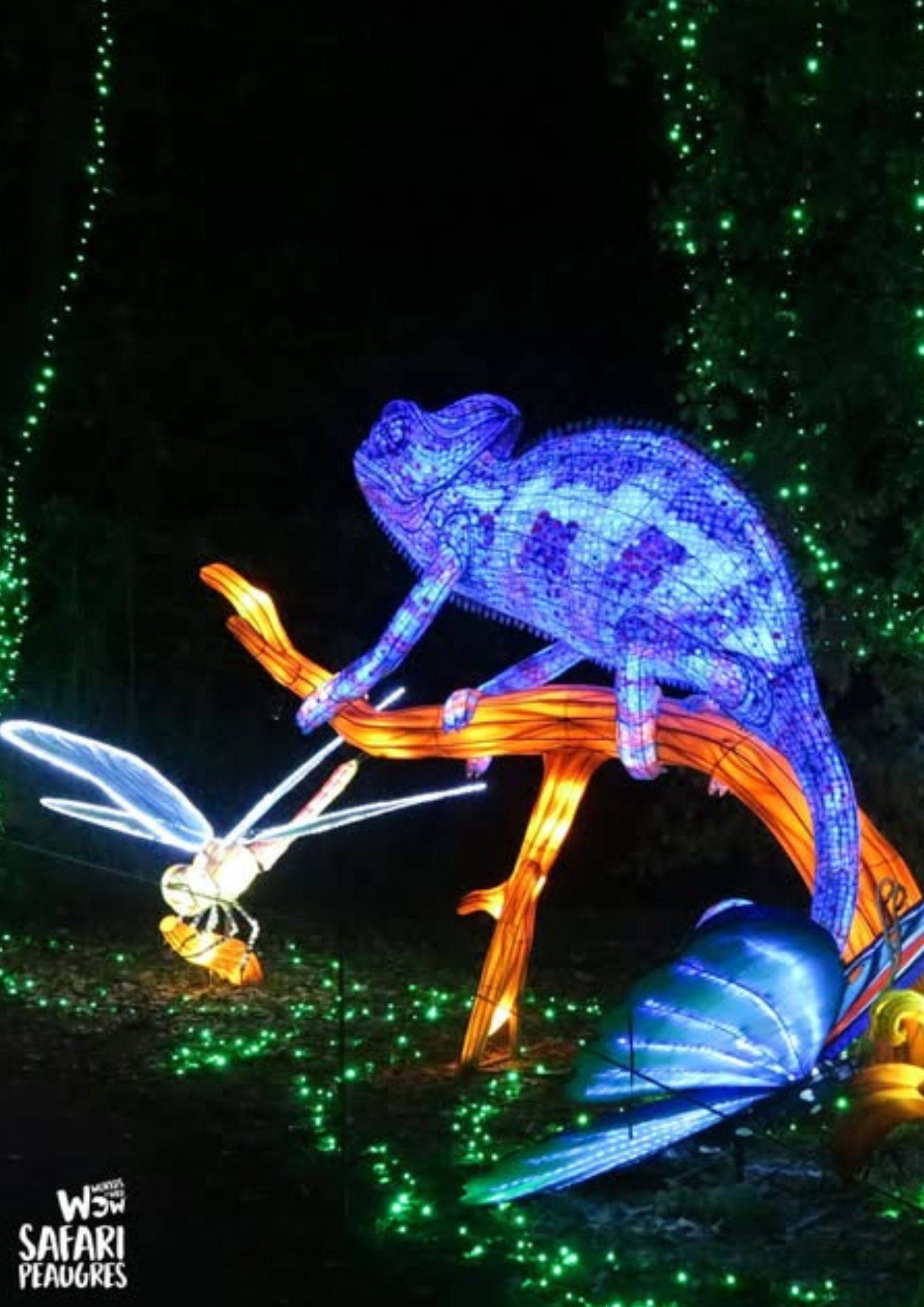 Lumières sauvages Safari parc de Peaugres