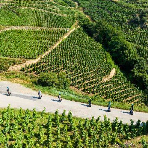 Balade en gyropode dans les vignes