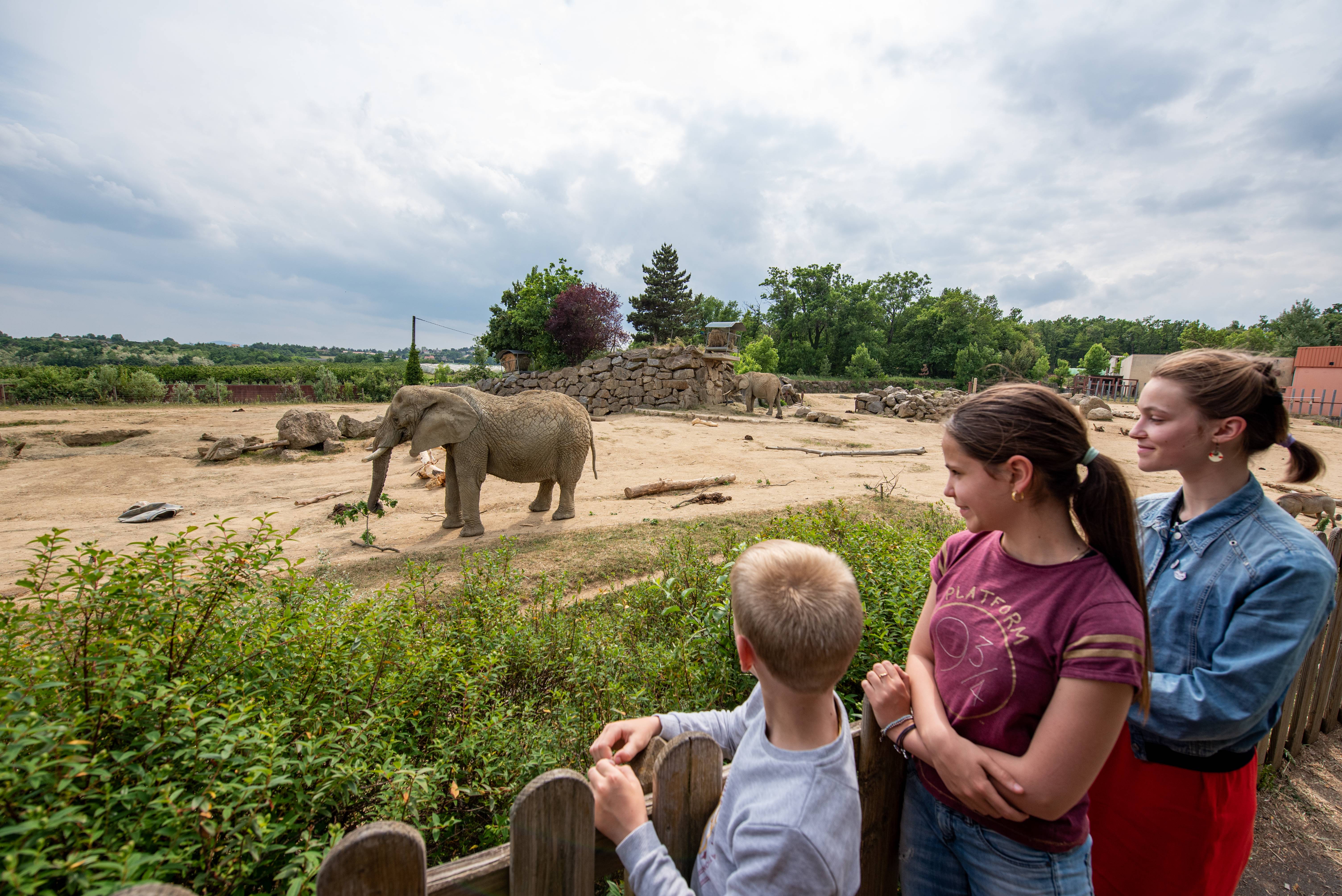 Safari parc de Peaugres ©Maelice Raby