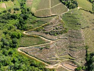 img-the-cote-rotie-appellation