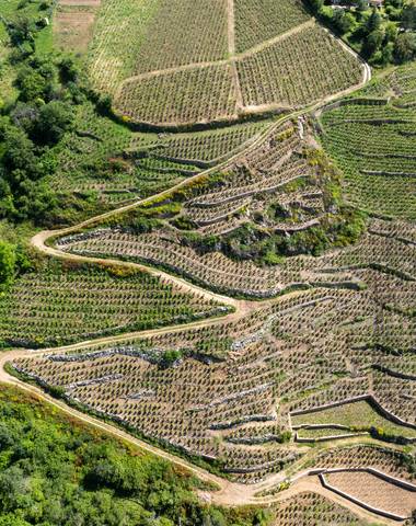 img-the-cote-rotie-appellation