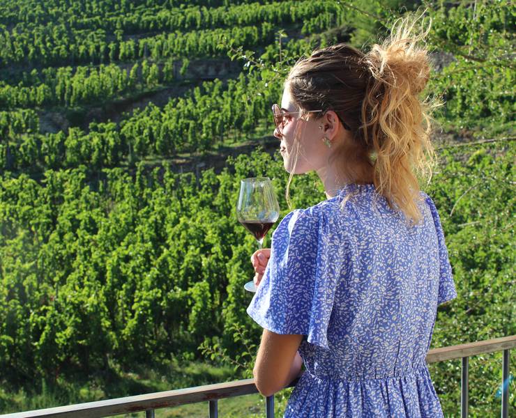 img-les-aperos-vignes-un-afterwork-gourmand-au-coeur-de-la-vallee-du-rhone-nord