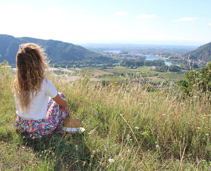 img-les-incontournables-de-la-vallee-du-rhone-nord-vignobles-villages-et-experiences