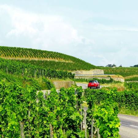 Route des vins