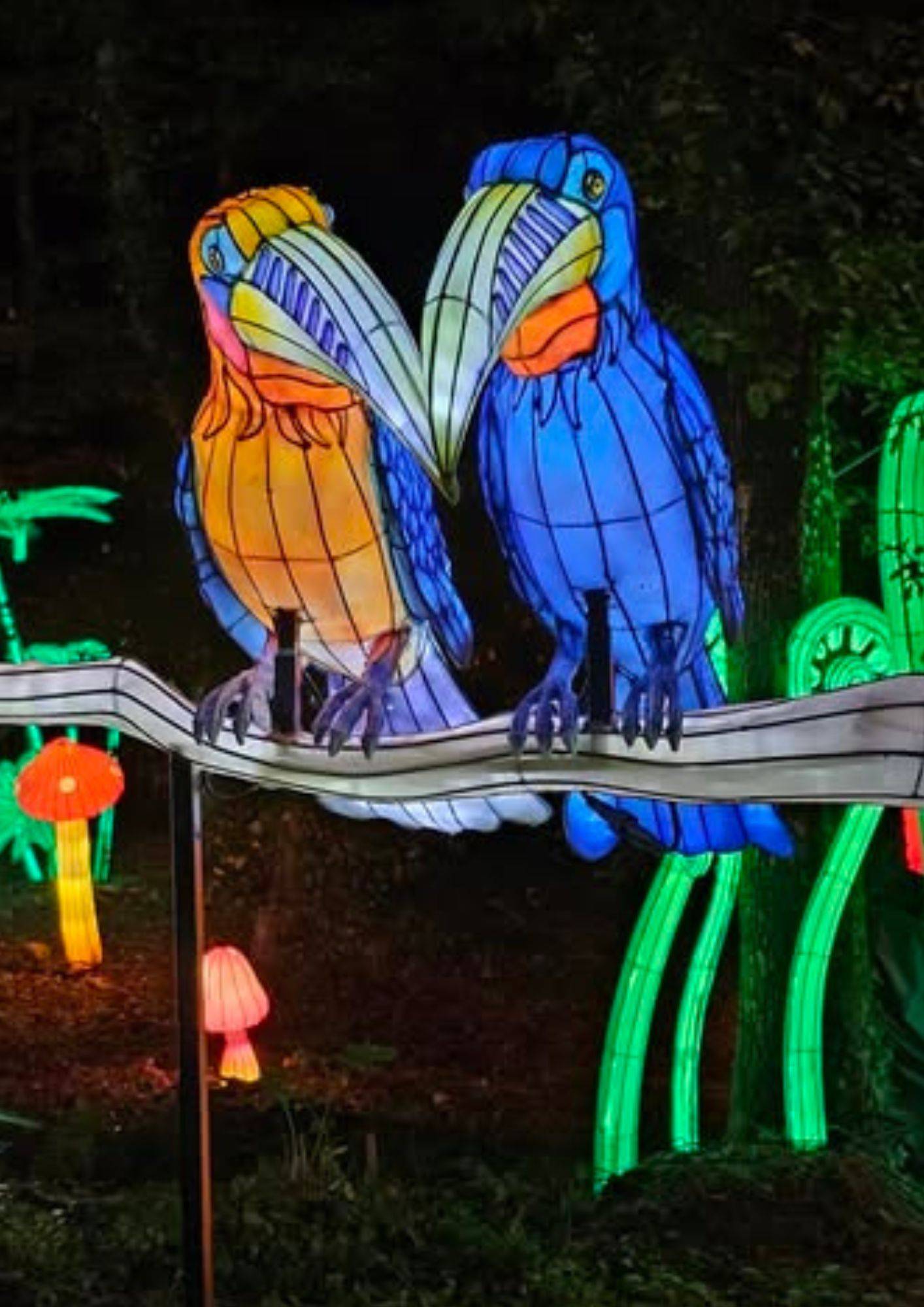 Lumières sauvages Safari parc de Peaugres