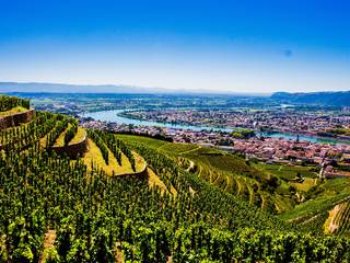 img-the-hermitage-appellation