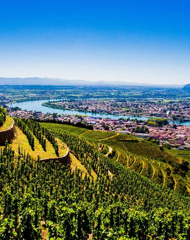 img-the-hermitage-appellation