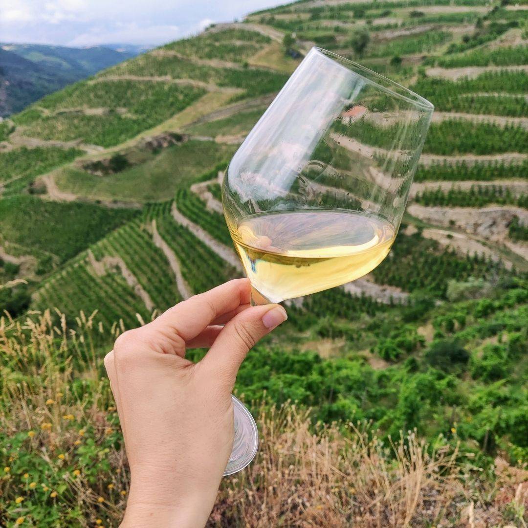 apéro vignes en vallée du Rhône nord