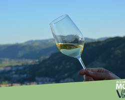 Visite guidée : " Au fil des cuvées" - Tournon sur Rhône