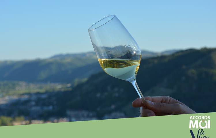 Photo of Visite guidée : " Au fil des cuvées" - Tournon sur Rhône