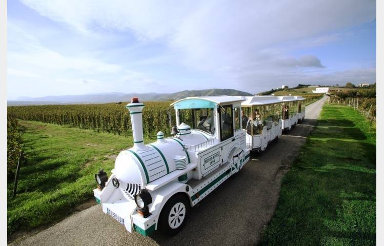 image de Le Petit Train des Vignes de l'Hermitage