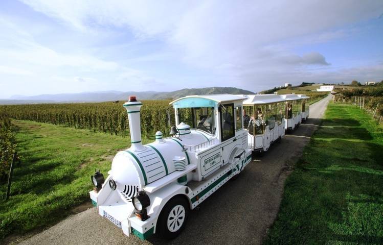 Photo of Le Petit Train des Vignes de l'Hermitage