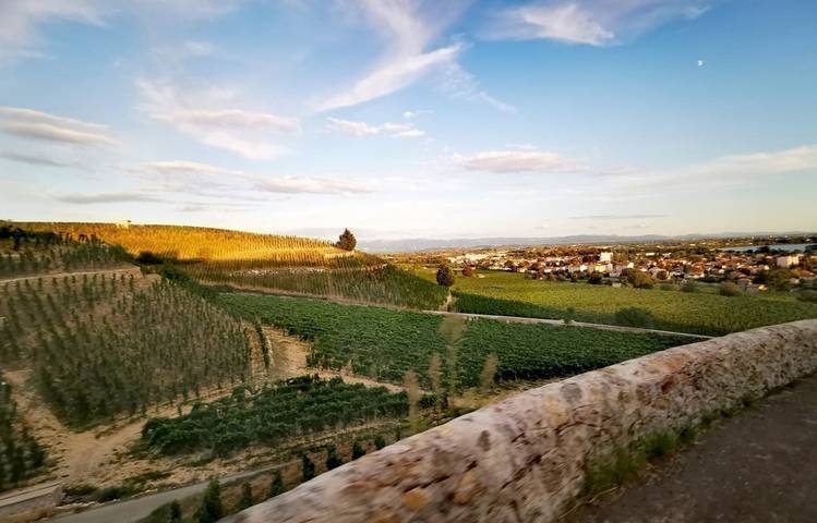 Photo of Le Petit Train des Vignes de l'Hermitage