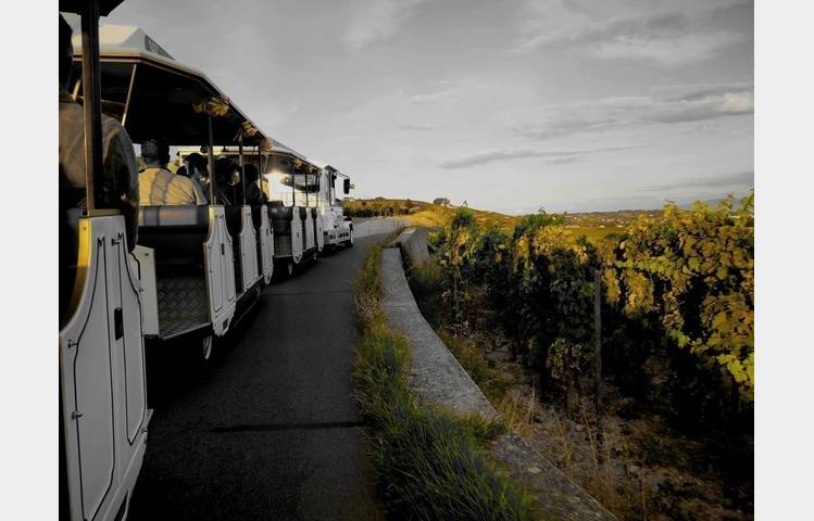 image de Road train in the Hermitage vineyards