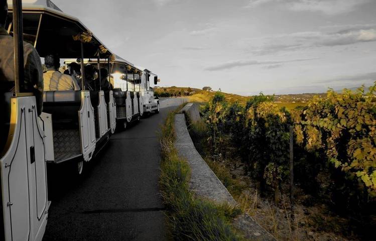Photo of Le Petit Train des Vignes de l'Hermitage