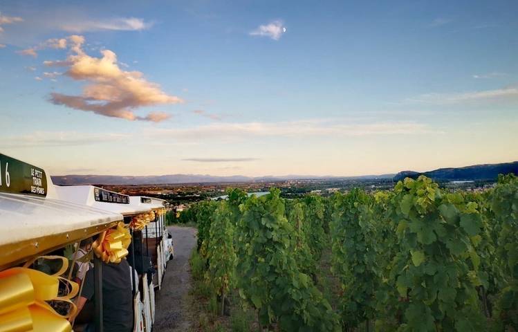 Photo of Le Petit Train des Vignes de l'Hermitage