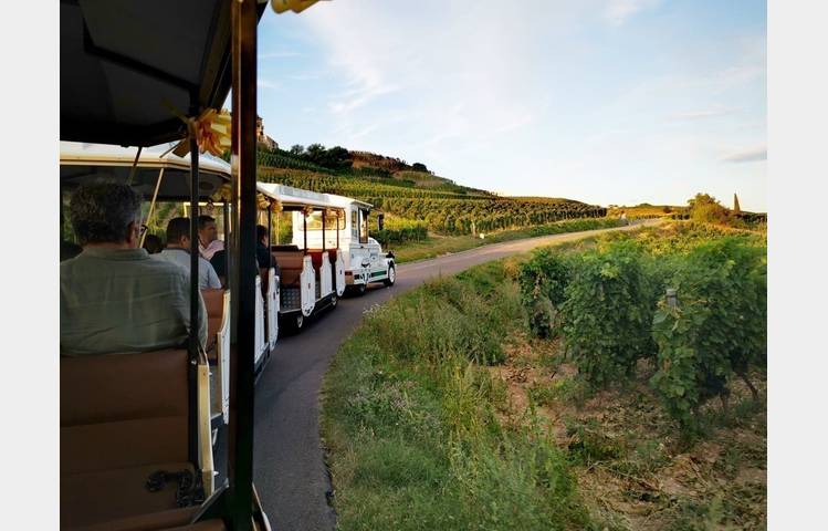 image de Road train in the Hermitage vineyards