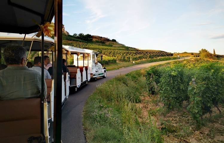Photo of Le Petit Train des Vignes de l'Hermitage