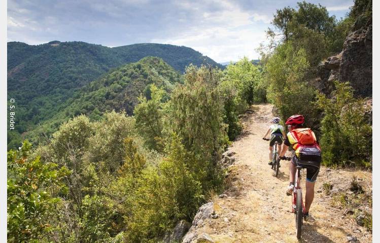 image de FFC-Mountain bike trail: Hermitage hillside paths