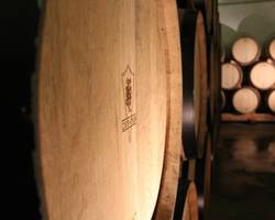 Guided tour in the winery Cave de Tain and wine tasting