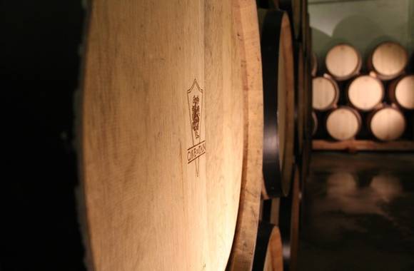 Guided tour in the winery Cave de Tain and wine tasting