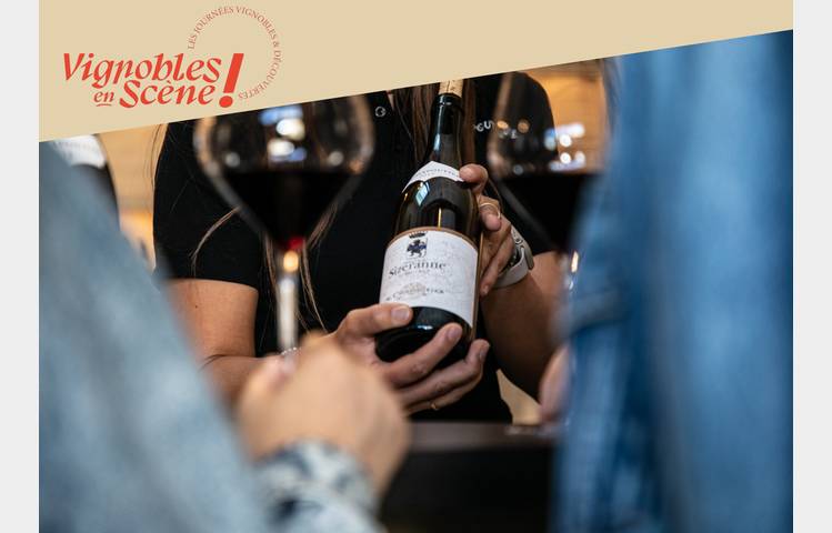 image de Visite de nos vignes et dégustation en accords mets et vins - Maison M. CHAPOUTIER