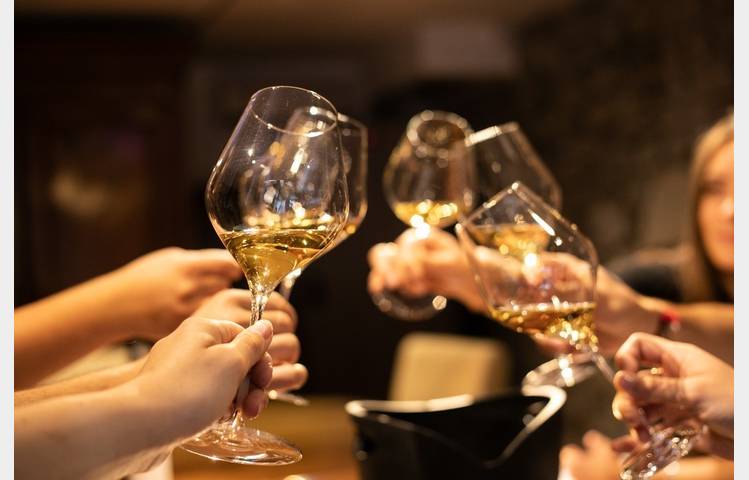 image de Visit of our wineyards and wine tasting - Maison M. CHAPOUTIER