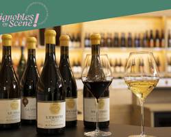 Visit of our wineyards and wine tasting - Maison M. CHAPOUTIER
