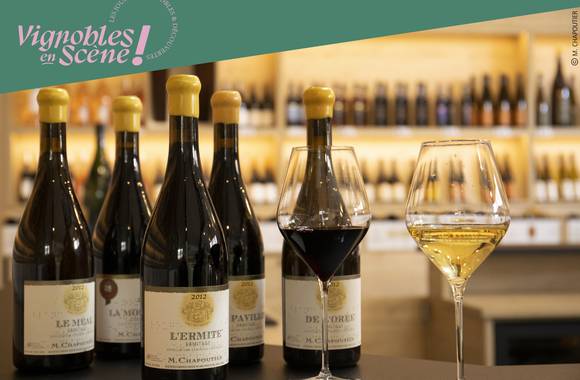 Visit of our wineyards and wine tasting - Maison M. CHAPOUTIER