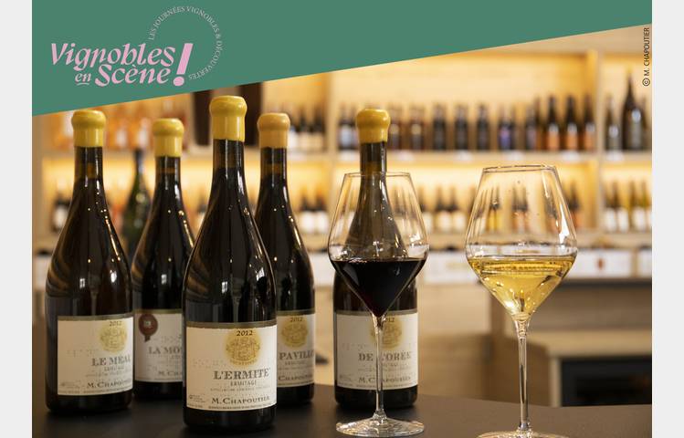 image de Visit of our wineyards and wine tasting - Maison M. CHAPOUTIER