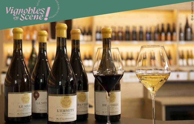 Photo of Visit of our wineyards and wine tasting - Maison M. CHAPOUTIER
