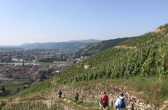 img-randovignes-avec-terres-de-syrah-by-cave-de-tain