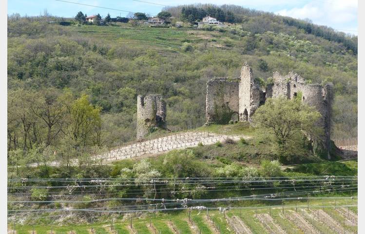 image de Castle of Larnage