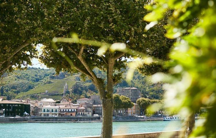 Photo of Regard sur le fleuve