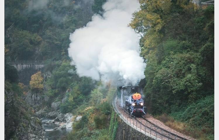 image de Le train fantôme - Train de l'Ardèche