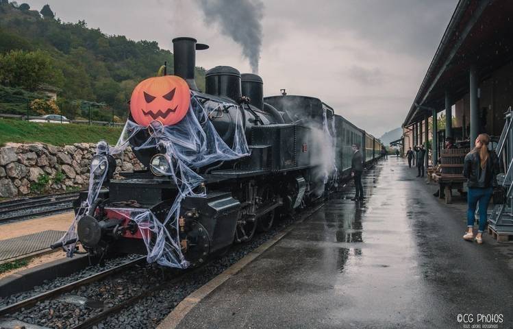 Photo of Le train fantôme à vapeur - Train de l'Ardèche